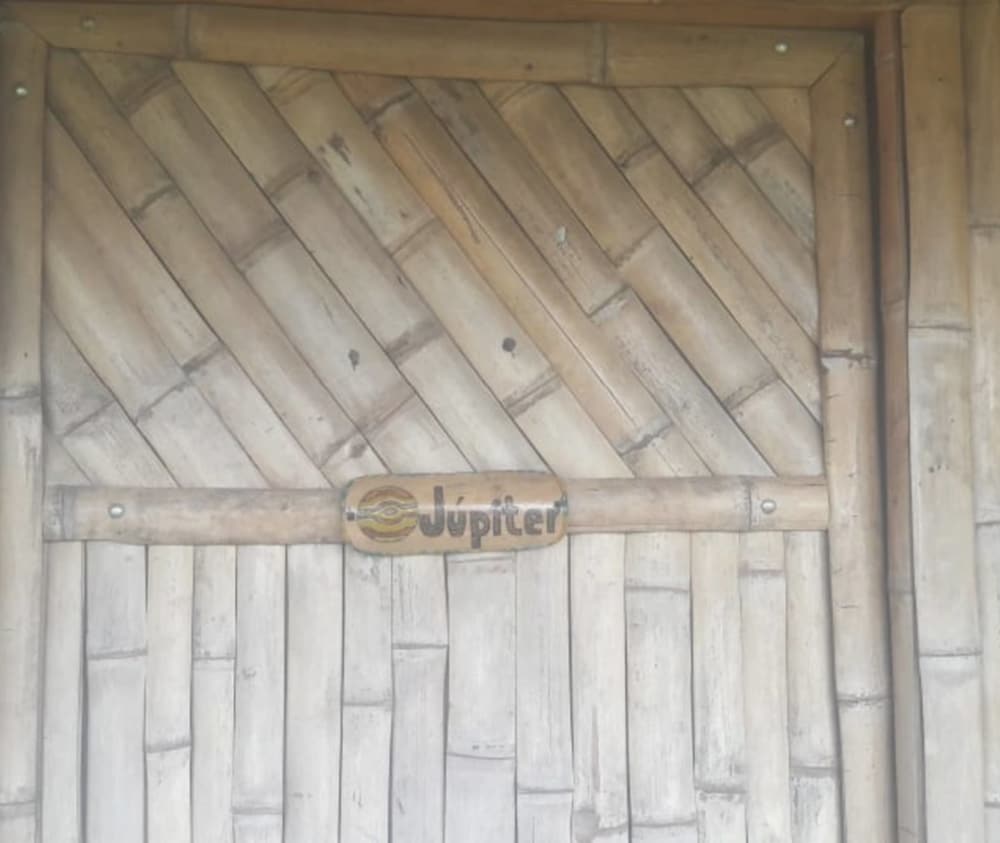 Jupiter photo 2