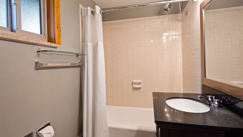 Standard Room, 1 King Bed, Non Smoking, Refrigerator & Microwave (Pet Friendly) photo 2
