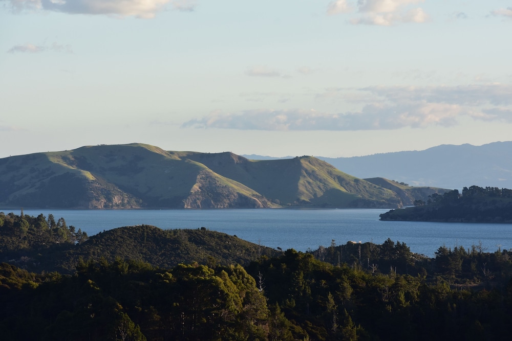 Koru Suite photo 3