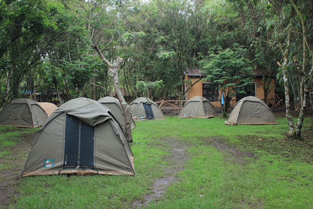 Small Tent photo 1