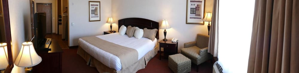 Suite, 1 King Bed, Refrigerator & Microwave