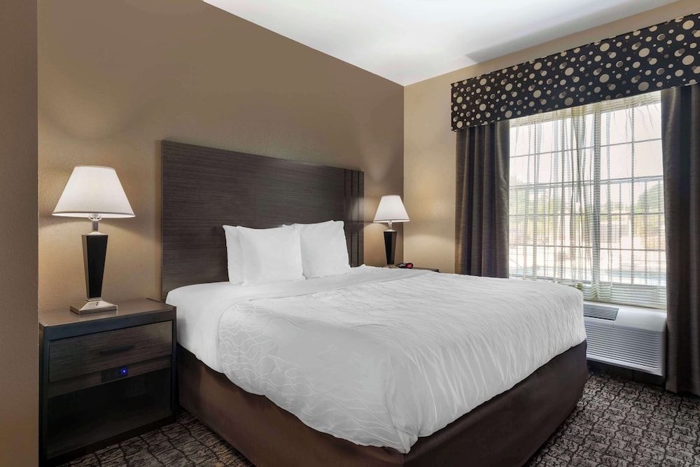 Suite, 1 King Bed, Non Smoking, Refrigerator & Microwave (with Sofabed) - Photo 4
