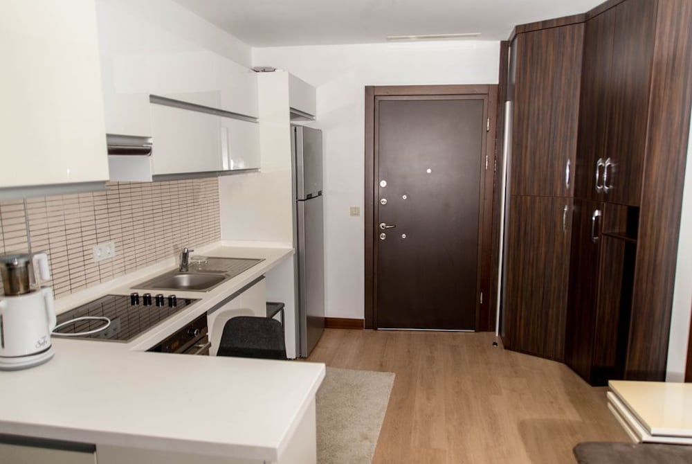 Apartment, 1 Bedroom, Non Smoking photo 3