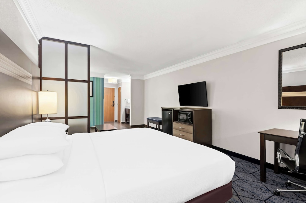 Suite, 1 King Bed, Non Smoking, Refrigerator & Microwave (with Sofabed) - Photo 1