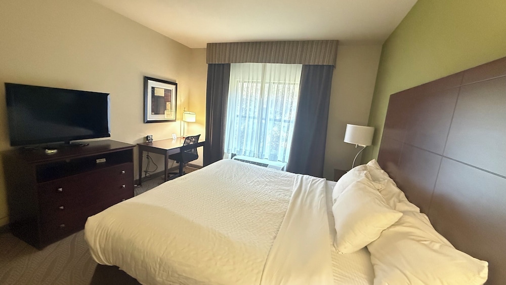 Suite, 1 King Bed, Accessible, Non Smoking photo 2
