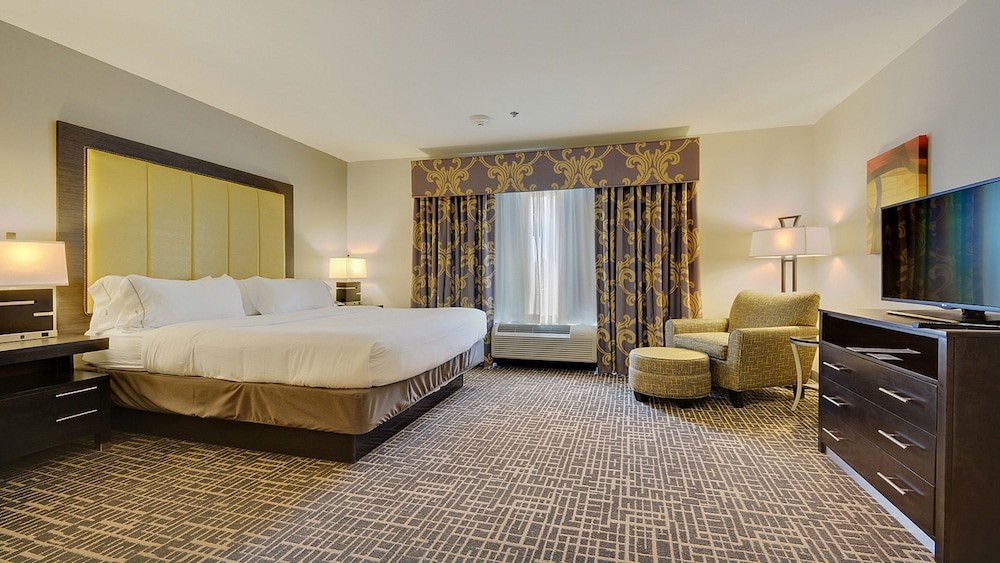 Suite, 1 King Bed - Photo 1