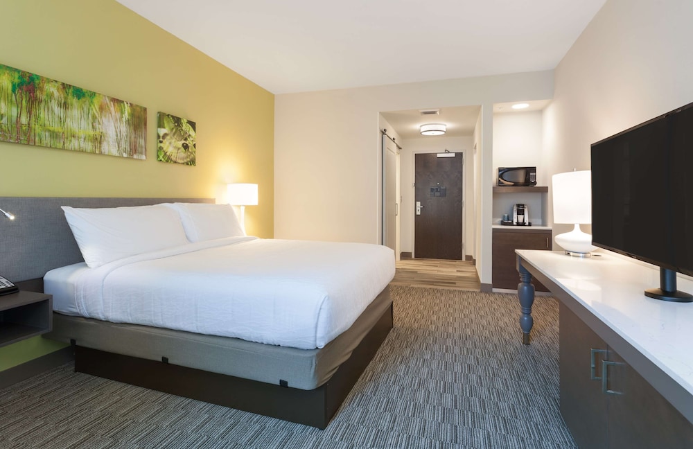Room, 1 King Bed