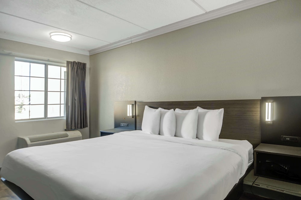 Deluxe Room, 1 King Bed, Non Smoking, Refrigerator & Microwave - Photo 1