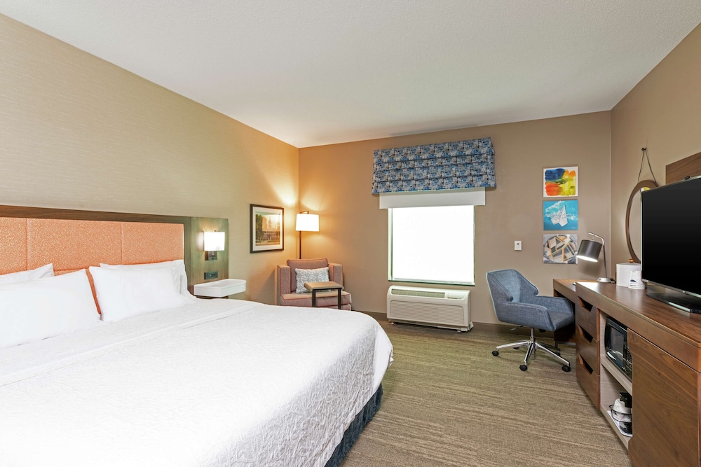 Room, 1 King Bed, Accessible, Non Smoking - Photo 3