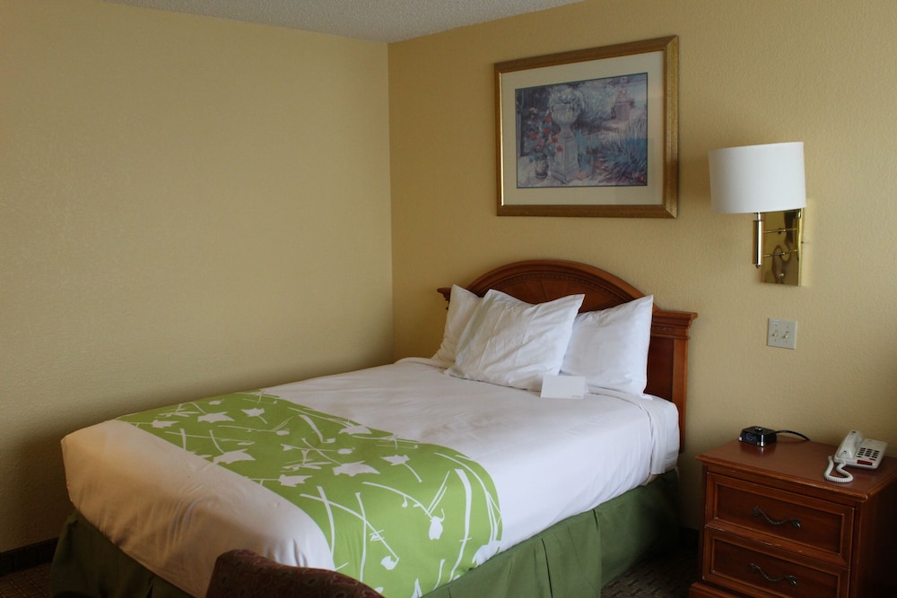 Room, 1 Queen Bed, Accessible - Photo 1