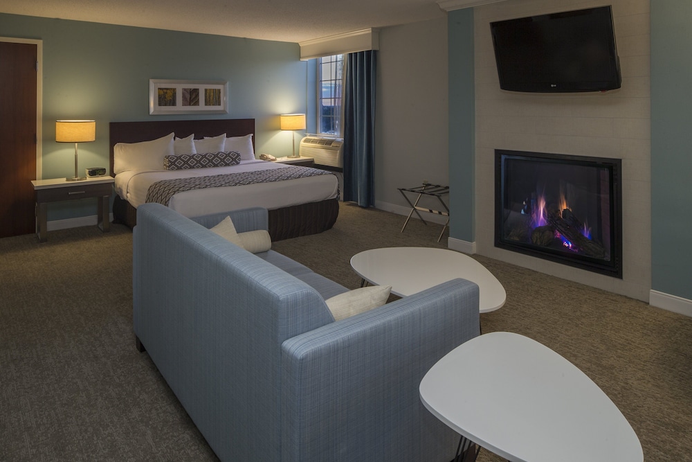 Suite, 1 Bedroom, Mobility Accessible (Transfer Shower) photo 3