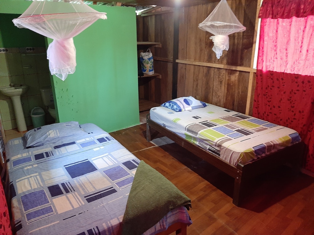 Twin Room photo 2