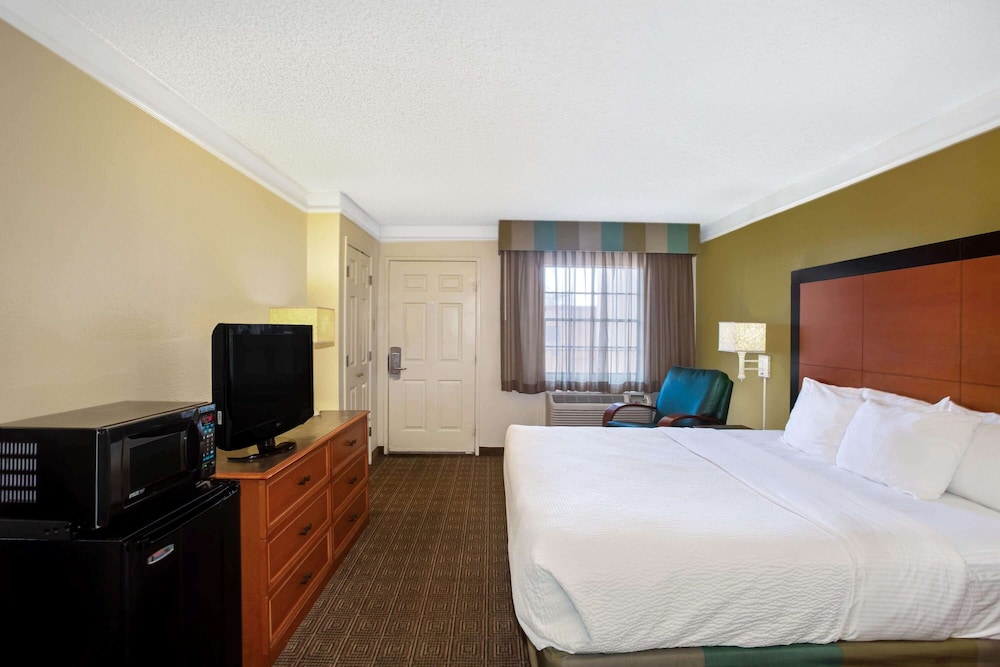 Suite (1 King Bed) - Photo 1