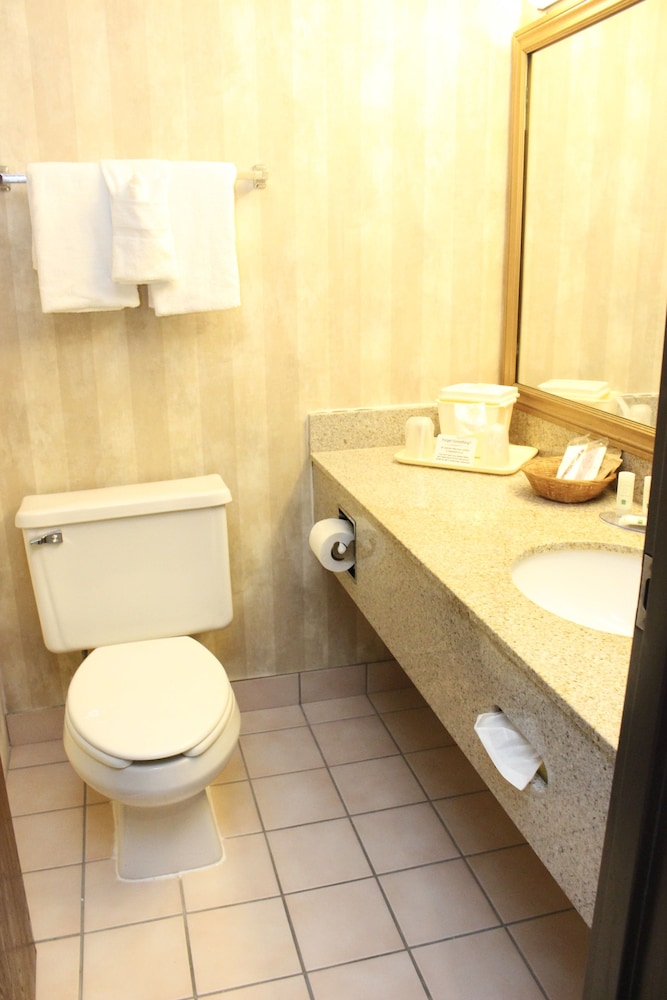 Suite, 1 King Bed, Non Smoking - Photo 1