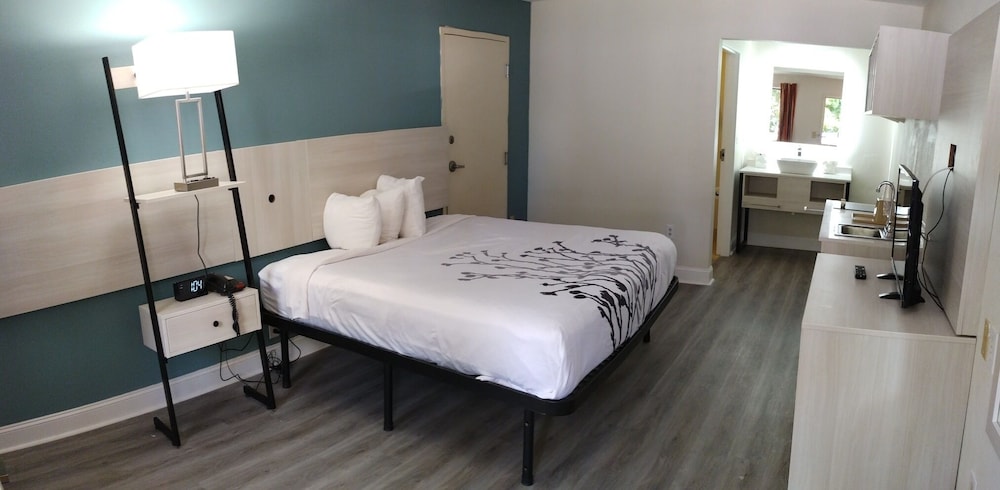 Standard Room, 1 King Bed, Non Smoking - Photo 1
