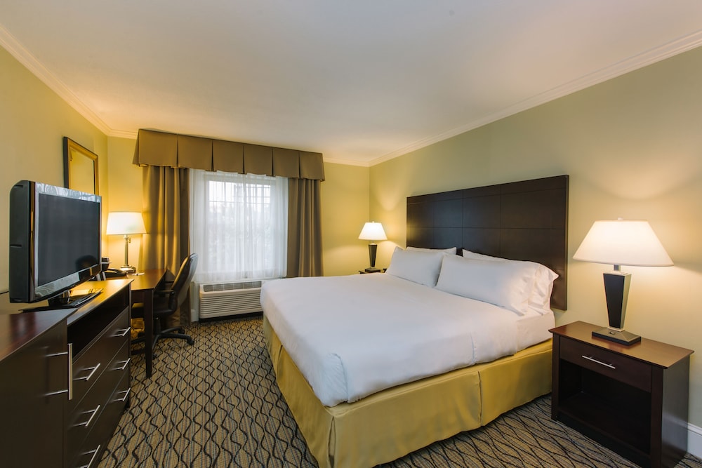 Standard Room, 1 King Bed, Accessible (Communication Accessible) - Photo 4