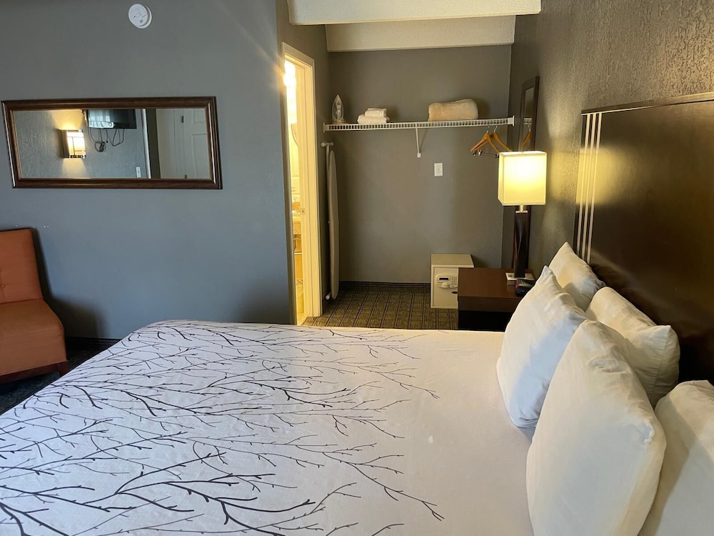 Suite, 1 King Bed - Photo 5