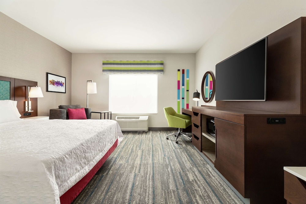 Room, 1 King Bed, Accessible (Roll-In Shower) - Photo 6
