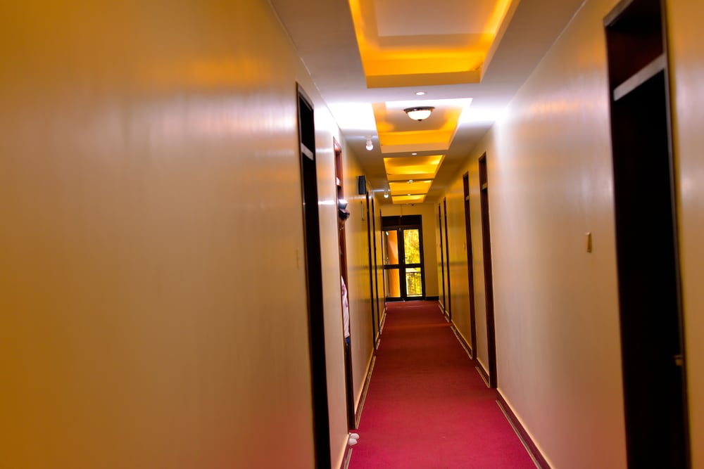 Comfort Single Room photo 3