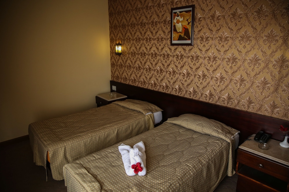 Standard Double or Twin Room photo 3
