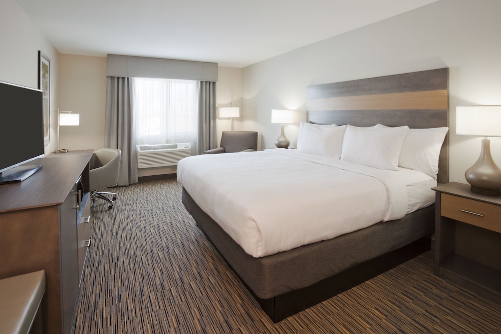 Suite, 1 King Bed photo 1
