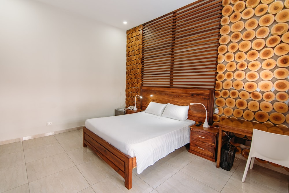 Deluxe Suite, 1 Queen Bed, Private Bathroom photo 3