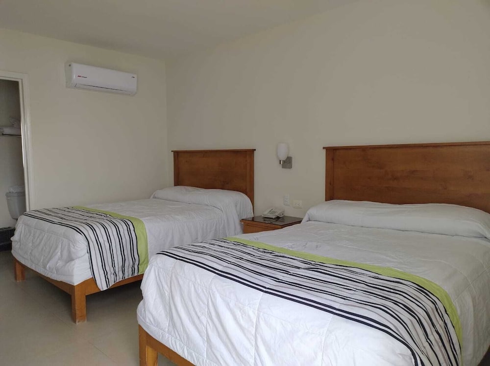 Twin Room photo 1