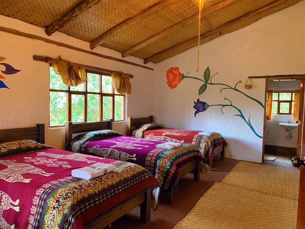Standard Room, Mountain View photo 2