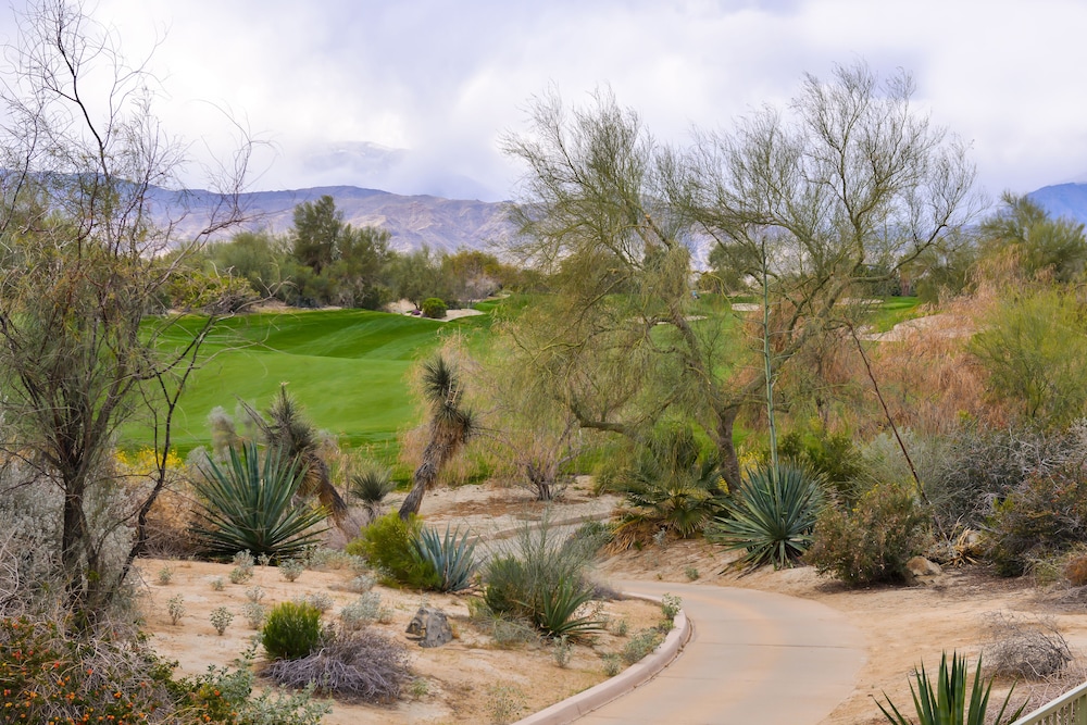 Suite, 2 Bedrooms, Balcony, Golf View - Photo 6