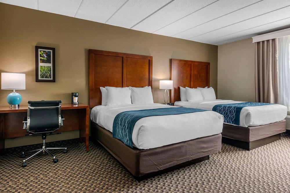 Suite, Multiple Beds, Non Smoking - Photo 1
