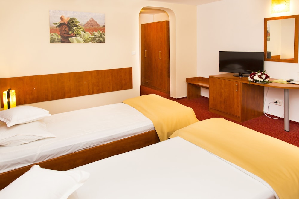 Standard Double Or Twin Room photo 1
