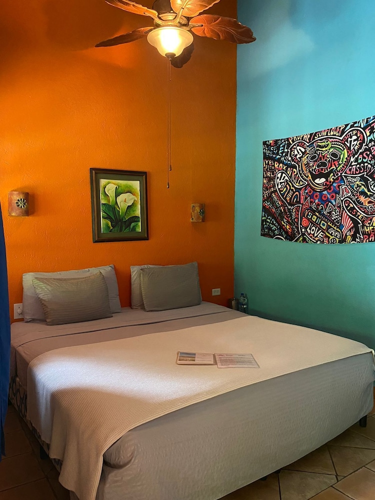 Standard Single Room photo 1