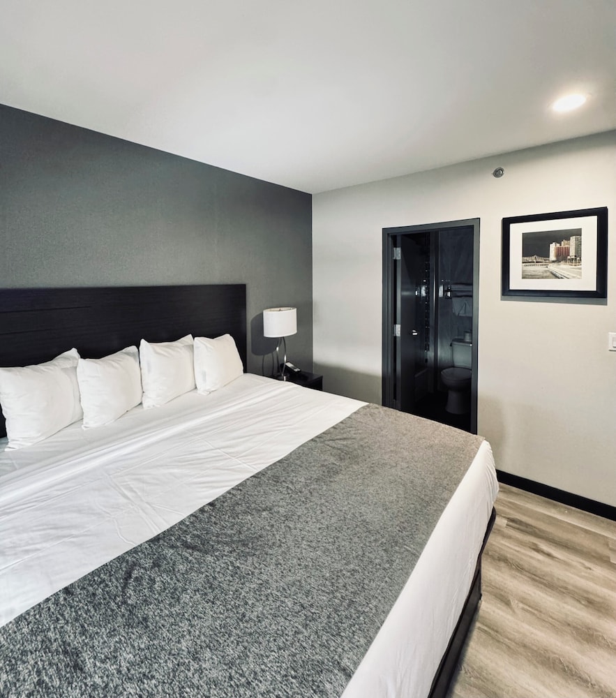 Single Room, 1 King Bed, Non Smoking photo 3