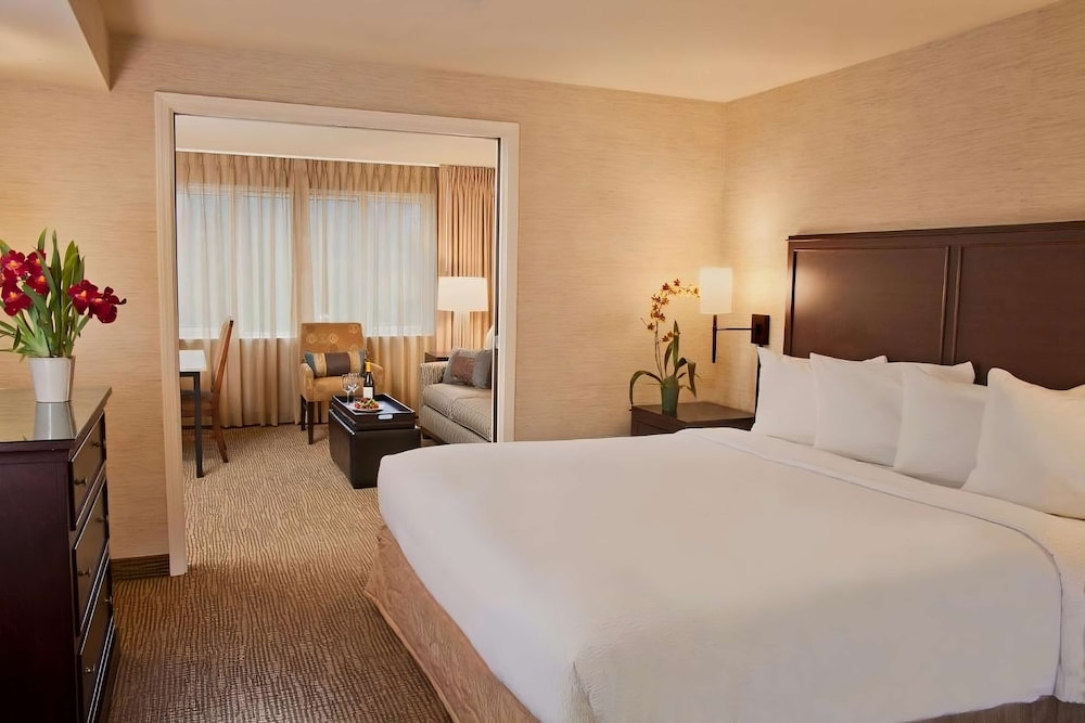 Suite, 1 King Bed, Non Smoking (with Sofabed) photo 1