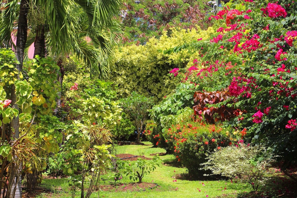 Standard Room, Patio, Garden View - Photo 9