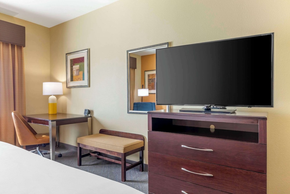 Suite, 1 King Bed with Sofa bed, Accessible, Non Smoking - Photo 3