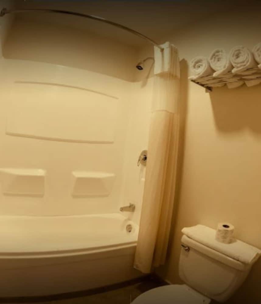 Single Room, 1 King Bed photo 2