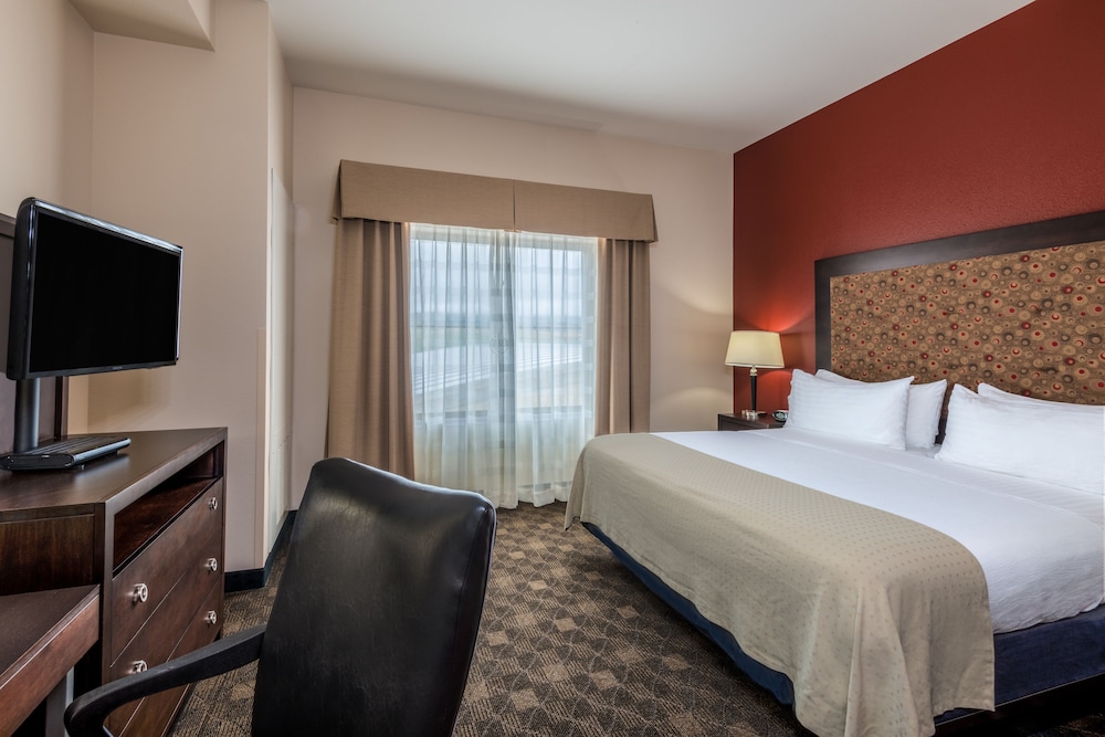 Suite, 1 Bedroom - Photo 3