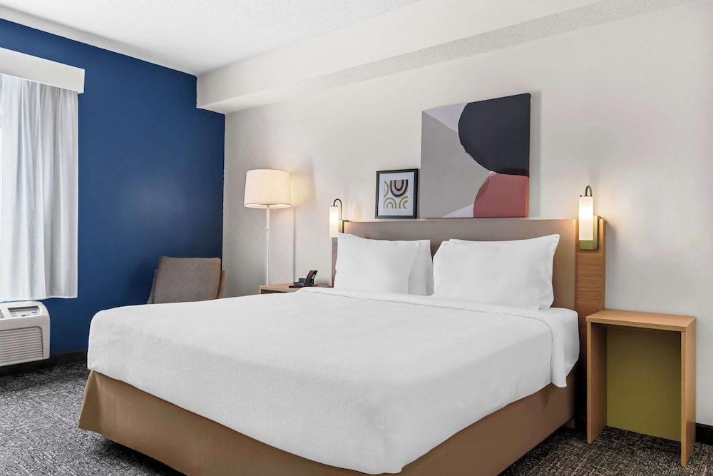 Deluxe Room, 1 King Bed (Mobility & Roll-in Shower)
