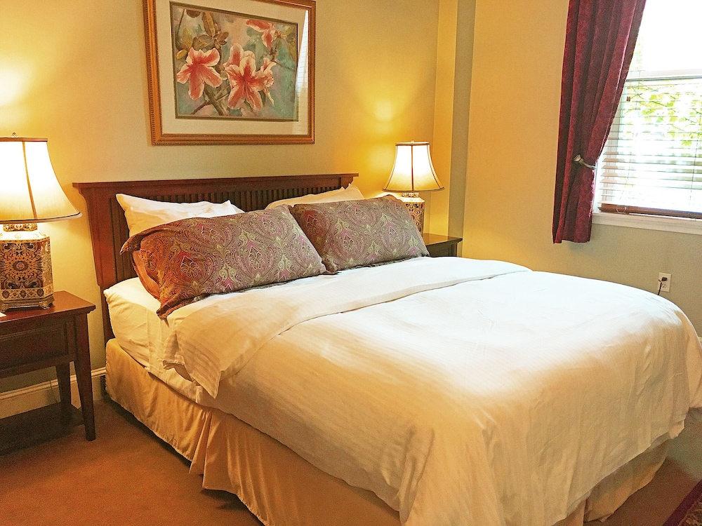 Large Extended Suite 503 (1bdrm apt) - Photo 4