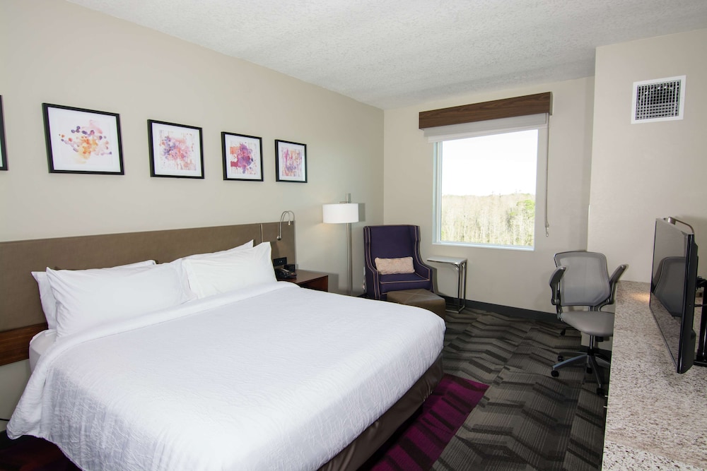 Room, 1 King Bed photo 3