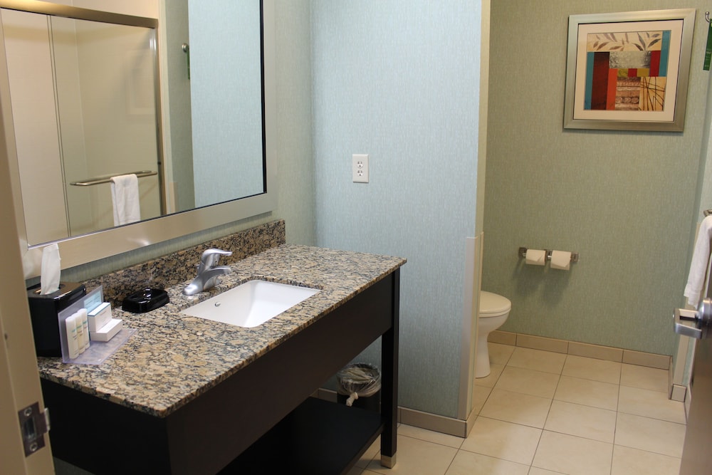 Room, 1 King Bed, Accessible (Mobility & Hearing, 3x3 Shower) photo 3