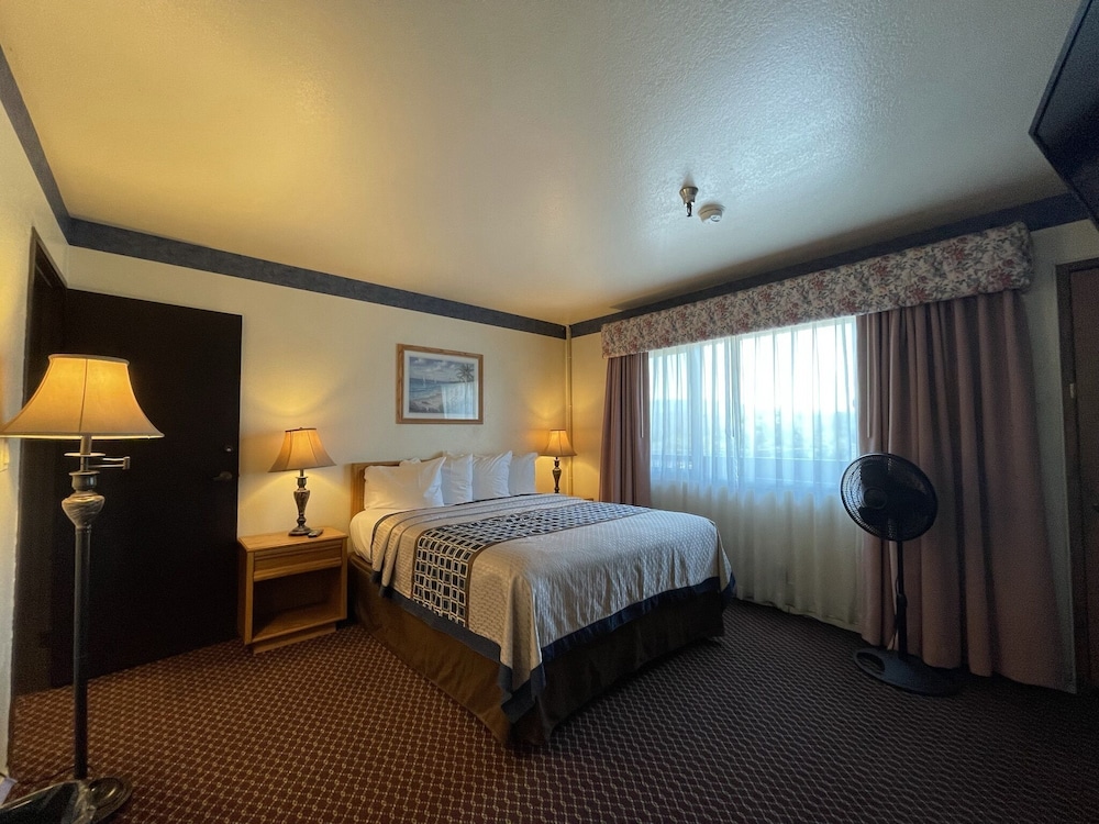 Exclusive Suite, 2 Bedrooms, Kitchen photo 3