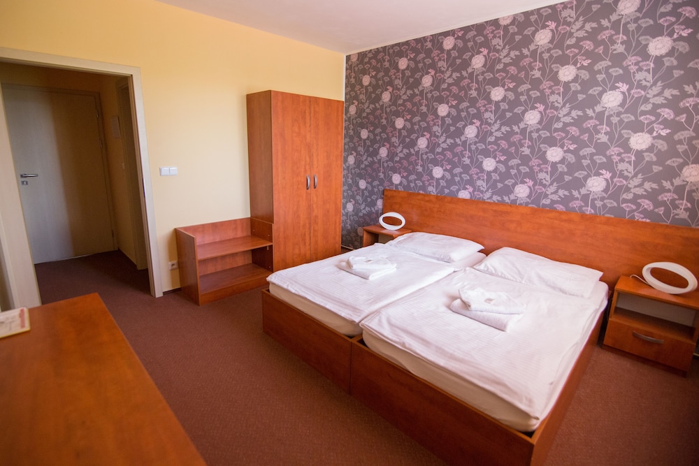 Classic Double Room Single Use, Park View