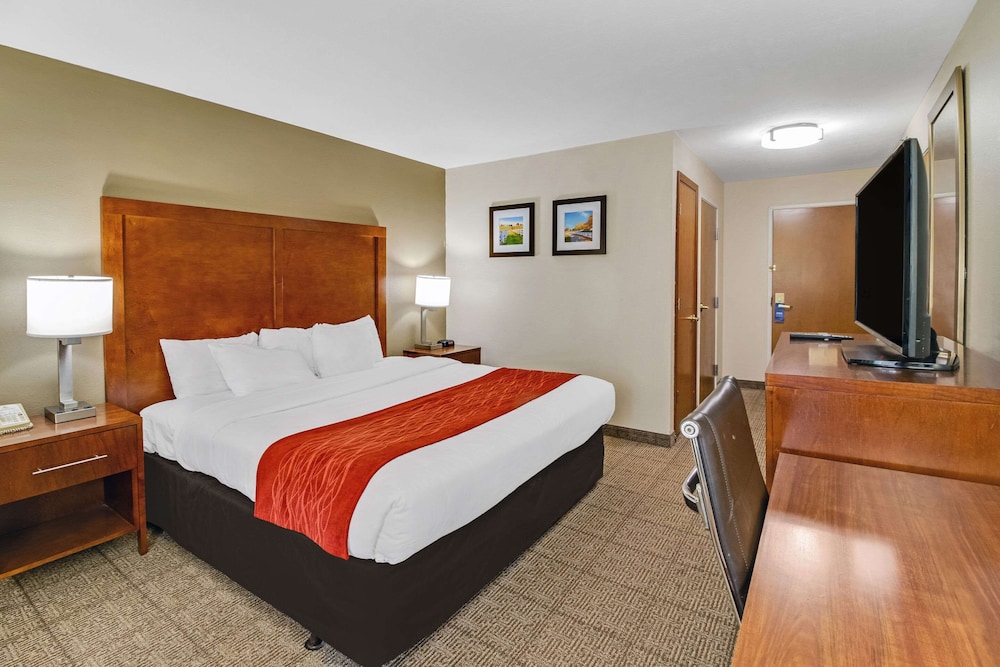 Standard Room, 1 King Bed, Accessible, Non Smoking - Photo 3