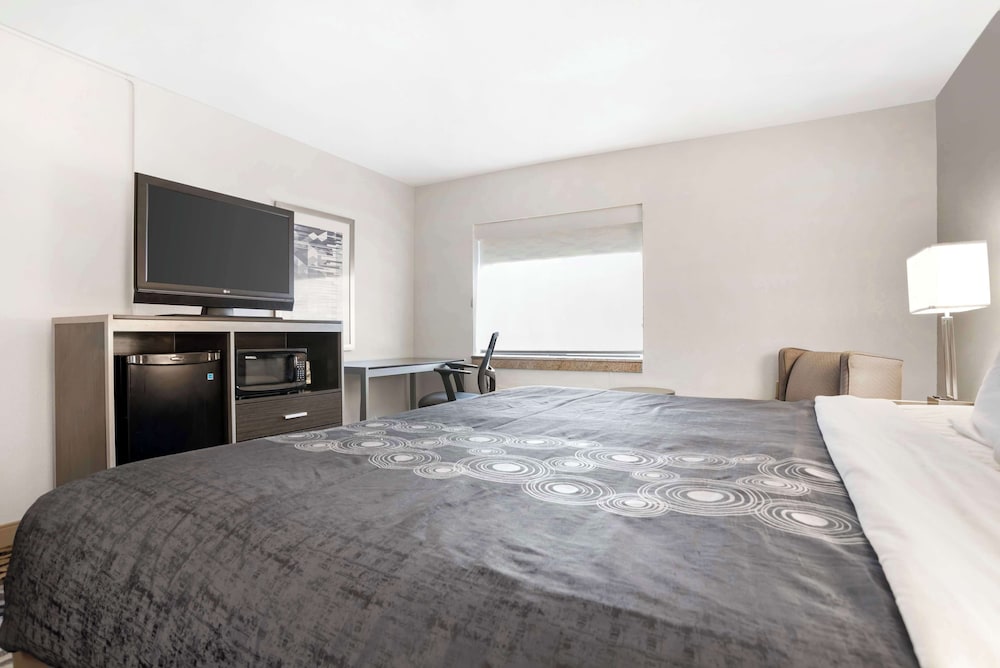 Standard Room, 1 Queen Bed, Accessible, Refrigerator & Microwave - Photo 2