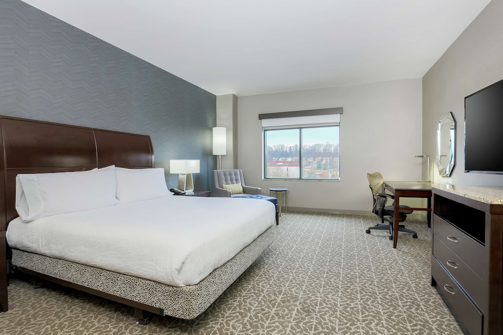 King bedroom evolution suite - Photo 4