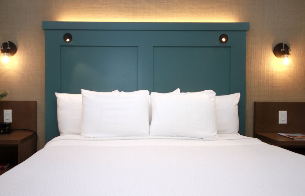 Single Room, Multiple Beds (Budget) photo 1