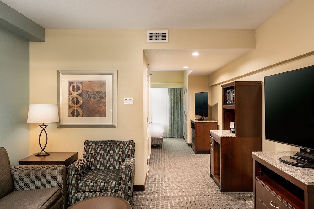 Suite, 1 King Bed, Accessible - Photo 3