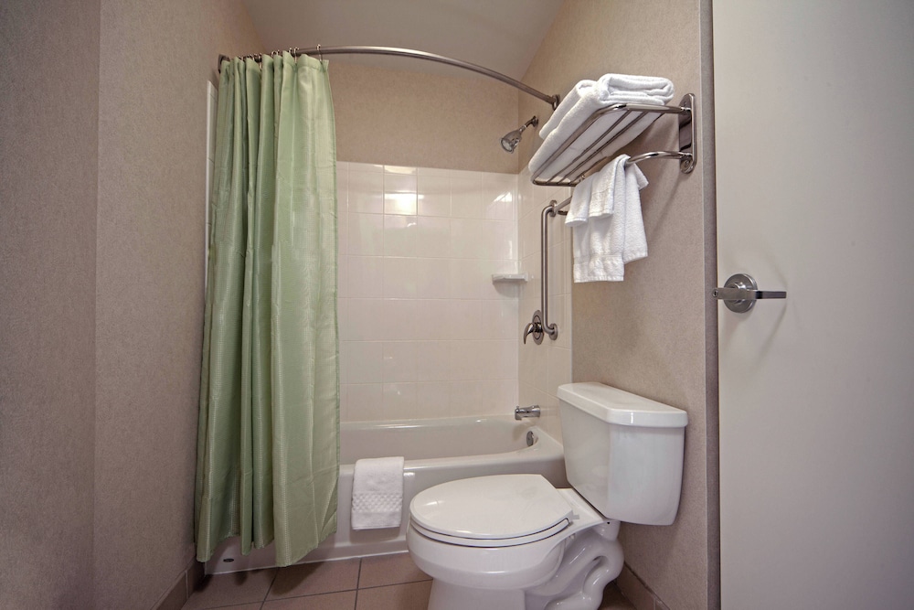 Suite, 1 Bedroom - Photo 6